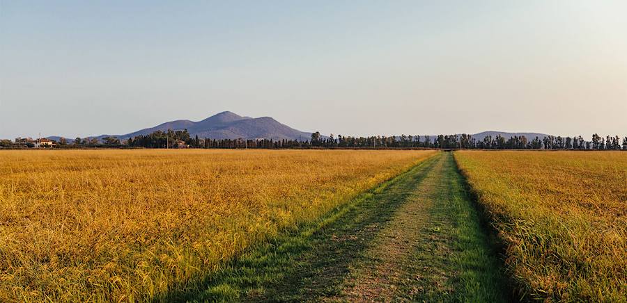 herobanner_TENUTASANCARLO_T18