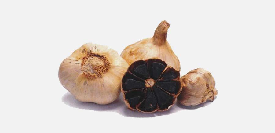 herobanner_PAMAGIAGARE_T18