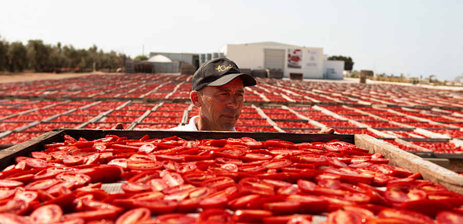 herobanner_ICONTADINI_T18