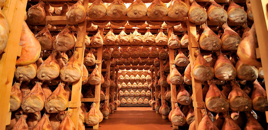 herobanner_SILARIOPROSCIUTTI_T18