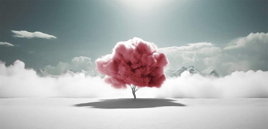 herobanner_FILATIBIAGIOLIMODESTO_F96