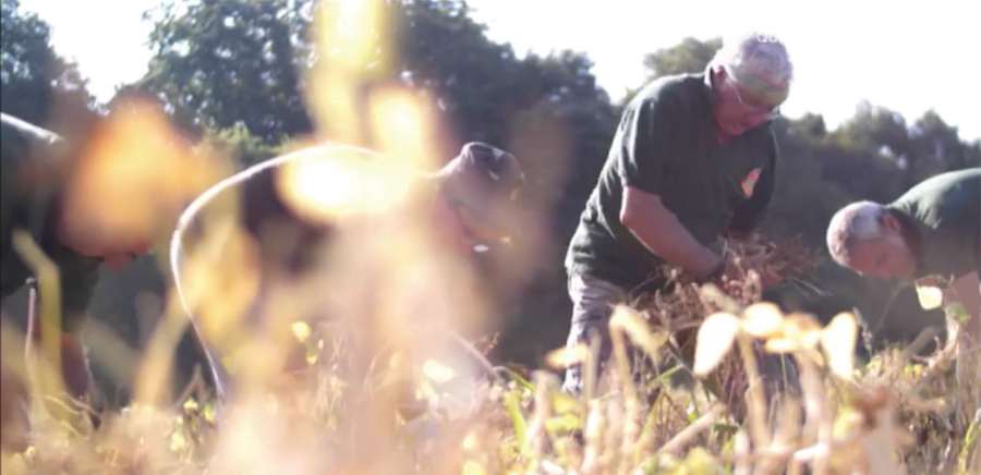 herobanner_PERLEDELLATUSCIA_T18