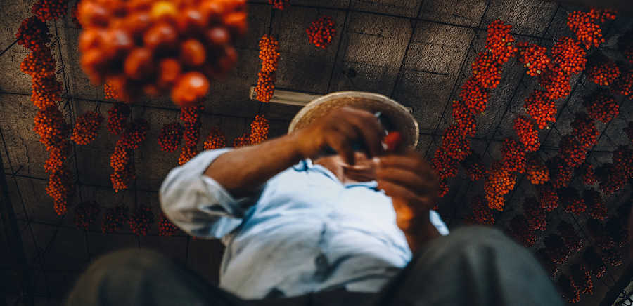 herobanner_CASALEPIETROPAOLO_T18