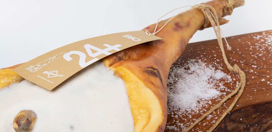 herobanner_PRIMAVERA_T18