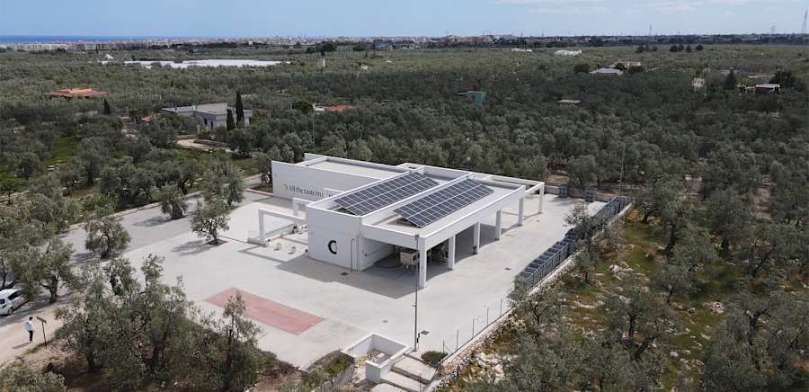 herobanner_OLIOCICCOLELLA_T18