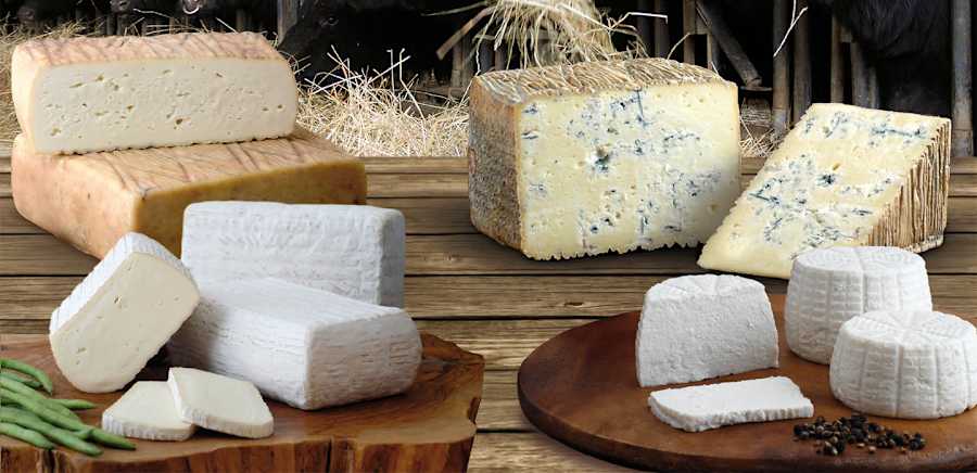 herobanner_QUATTROPORTONI_T18