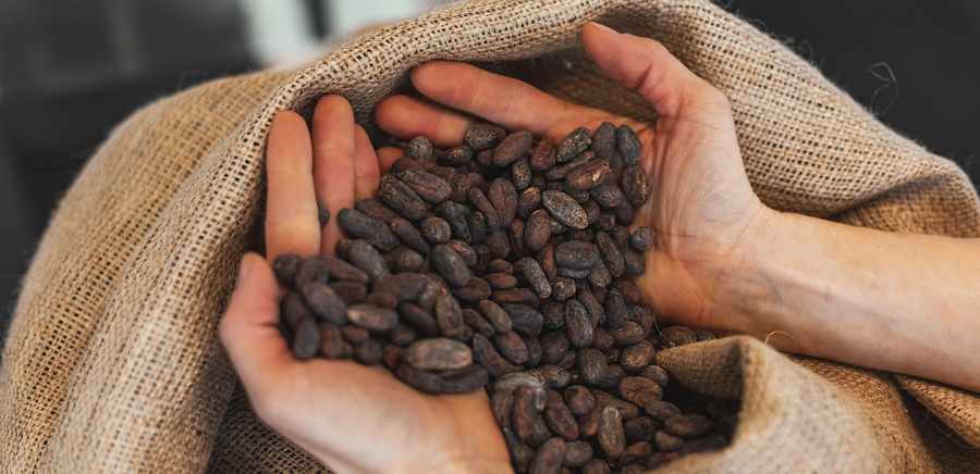 herobanner_CHOCOLATEFORFAMILY_T18