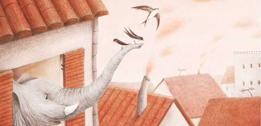 herobanner_LaMargheritaEdizioni_E3