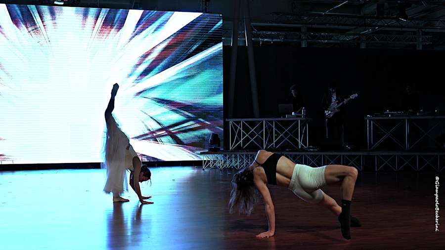Calimala_Disclosure_Platform_36.jpg