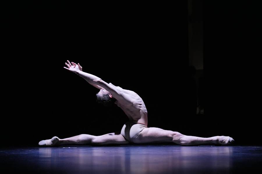 Dance_Beyond_-_The_Gala_-Sergio_Bernal_-_The_Swan_3.jpg