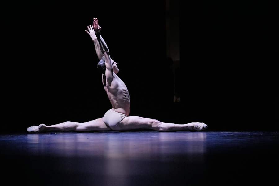 Dance_Beyond_-_The_Gala_-Sergio_Bernal_-_The_Swan_2.jpg