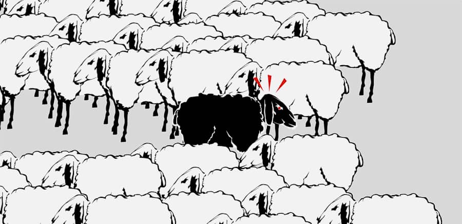 herobanner_SCHMOOVE_U108