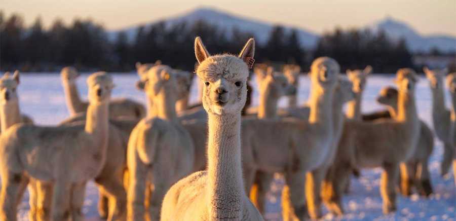 herobanner_RITORCITURAFABIANO_F97