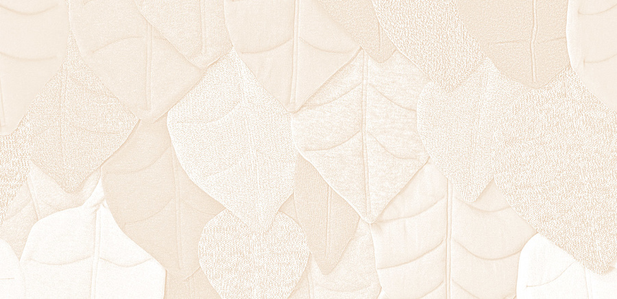 herobanner_MILLEFILI_F97