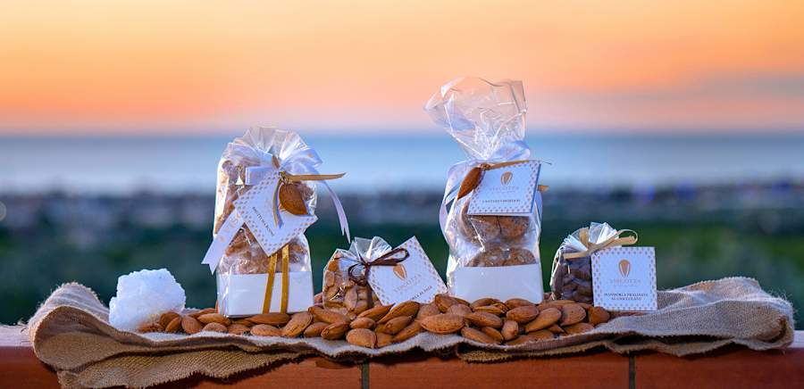 herobanner_VISCOTTA_T19