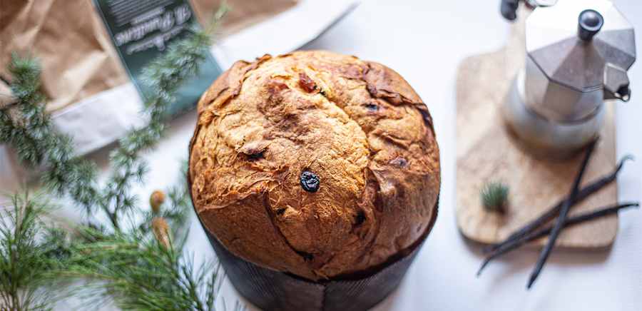 herobanner_INFERMENTUM_T19