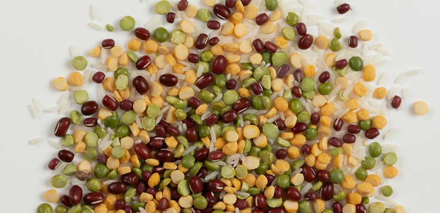 herobanner_INUTRIBUONIDINORMA_T19