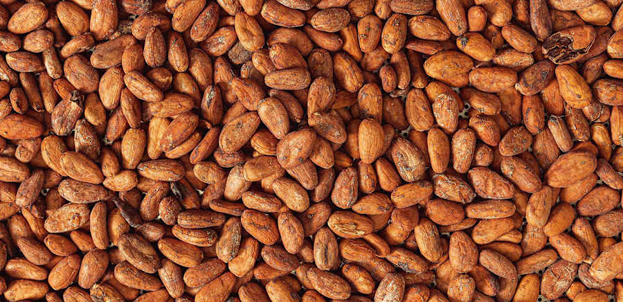 herobanner_CIOCCOLATOBANCHINI_T19