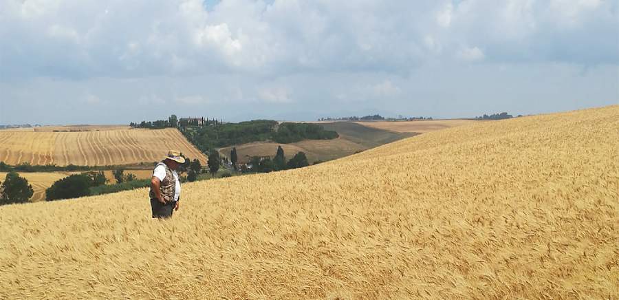 herobanner_AZIENDABIOAGRICOLABERTOLI_T19