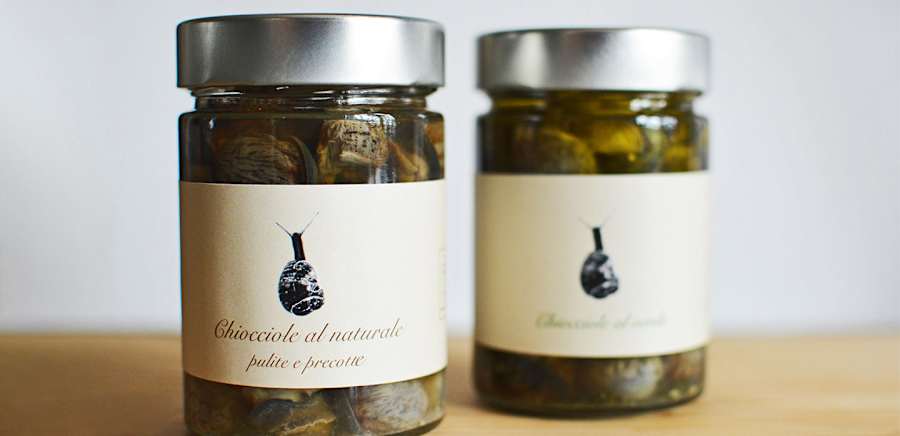 herobanner_PAOLOBOVECHIOCCIOLE_T19