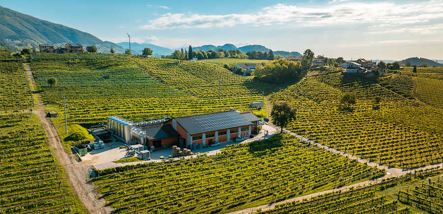 herobanner_DRUSIANFRANCESCO_T19