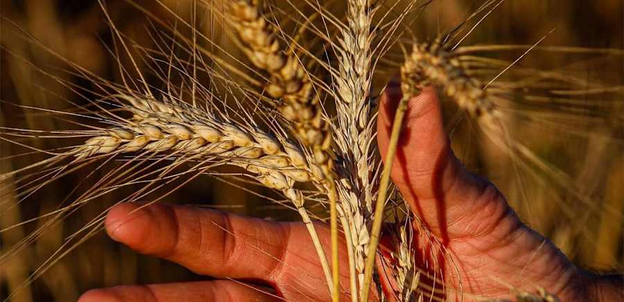 herobanner_AZAGRBIOLOGICALARITA_T19