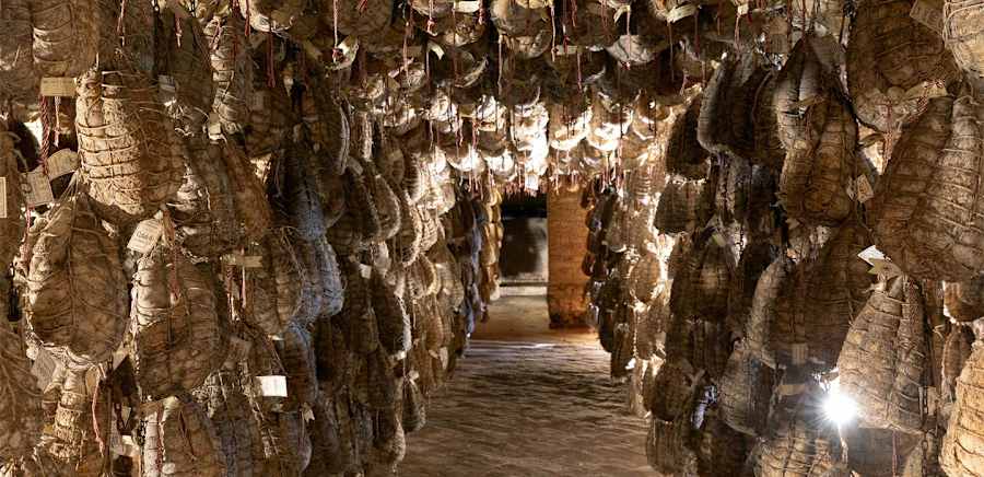 herobanner_ANTICACORTEPALLAVICINA_T19