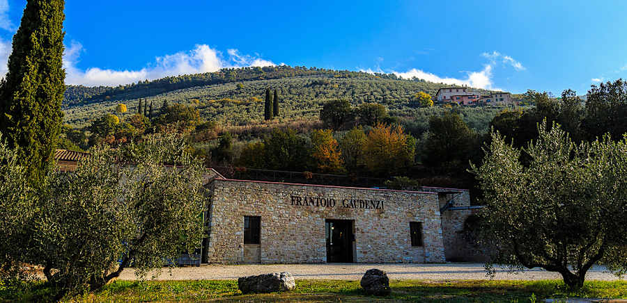 herobanner_FRANTOIOGAUDENZI_T19
