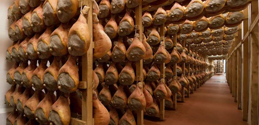 herobanner_DEVODIERPROSCIUTTI_T19