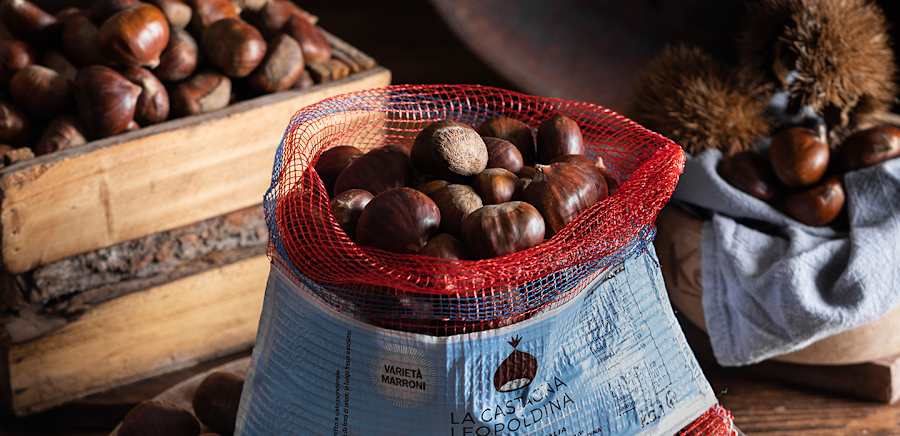 herobanner_LACASTAGNALEOPOLDINA_T19