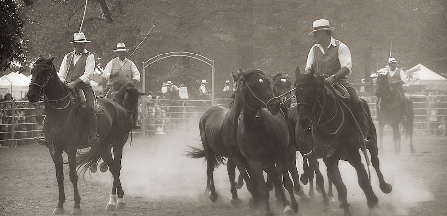 herobanner_CAPALBIO_U109