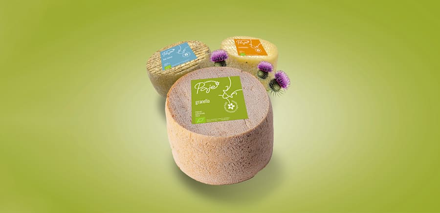 herobanner_CASEIFICIOPAJE_T19