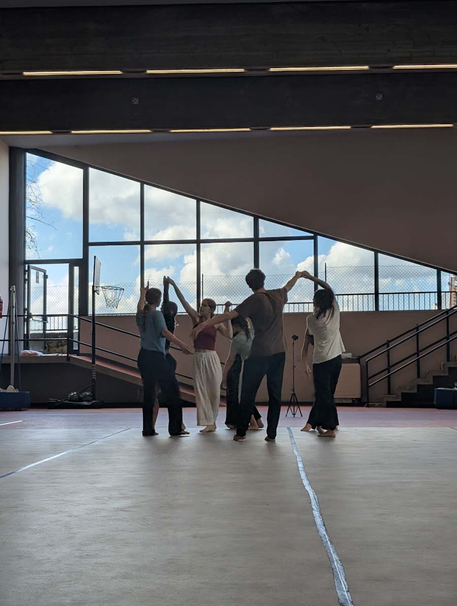 aps-stabilimento-delle-arti-ets-2440