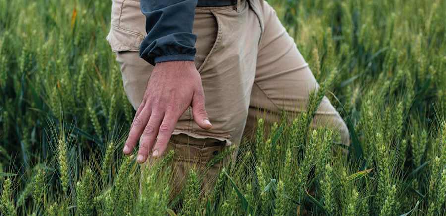 herobanner_MOLINIFAGIOLI_T19