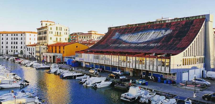 herobanner_MERCATOITTICODILIVORNO_T19