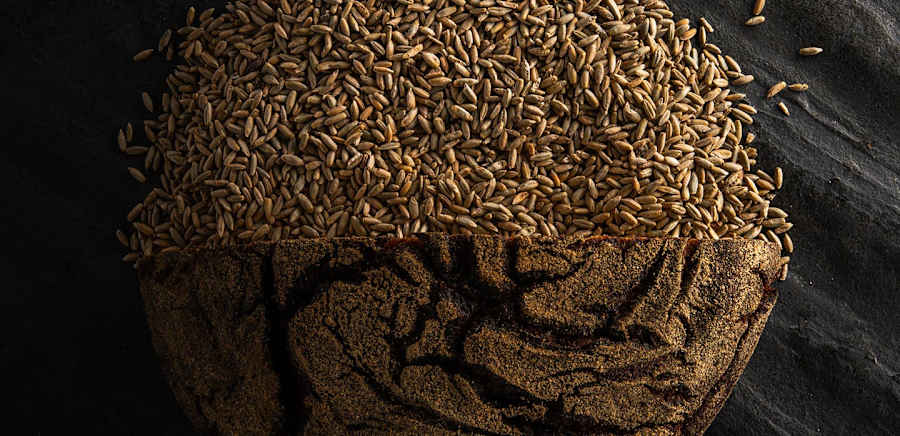 herobanner_VIVALAFARINA_T19