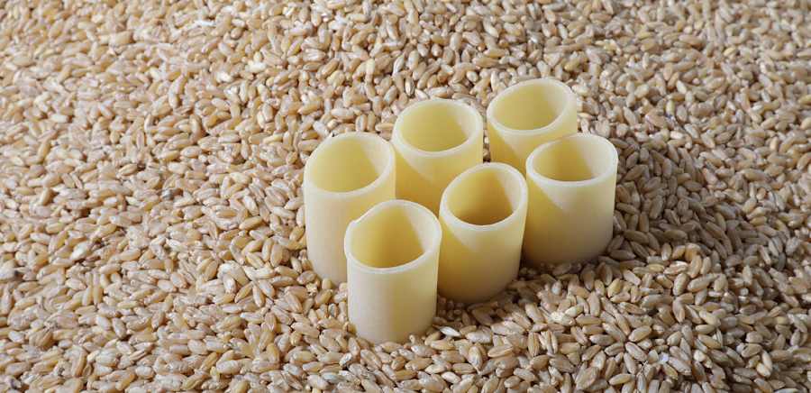 herobanner_VERRIGNIANTICOPASTIFICIOROSETANO_T19