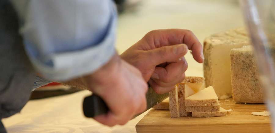 herobanner_CASTAGNAPICCOLIPIACERIDIMONTAGNA_T19