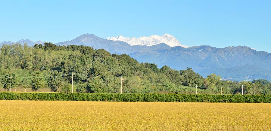 herobanner_LABALOCCHINA_T19