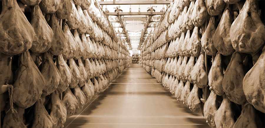 herobanner_POGGIOSANGIORGIO_T19