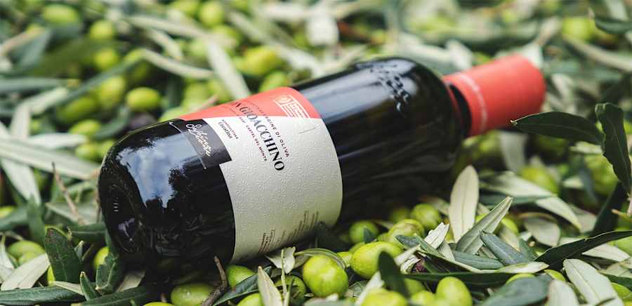 herobanner_SABINOLEONE_T19