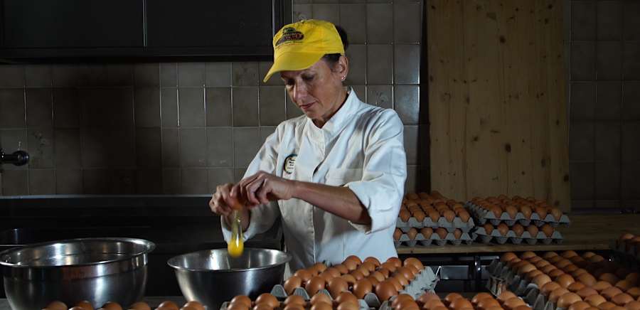 herobanner_SPINOSI_T19