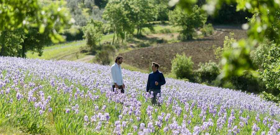 herobanner_FRANTOIOPRUNETI_T19