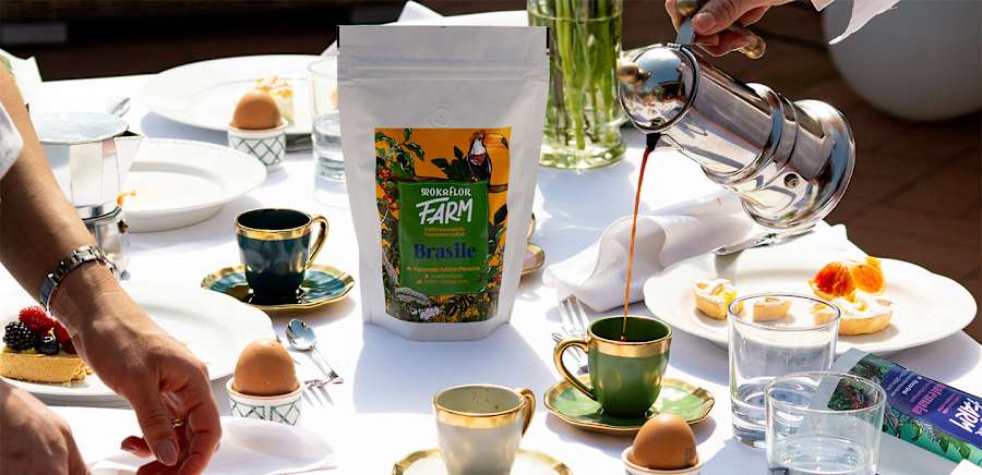 herobanner_TORREFAZIONEMOKAFLOR_T19