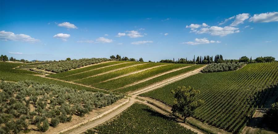 herobanner_CASTELLODIAMA_T19