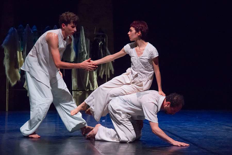 aps-stabilimento-delle-arti-ets-2548