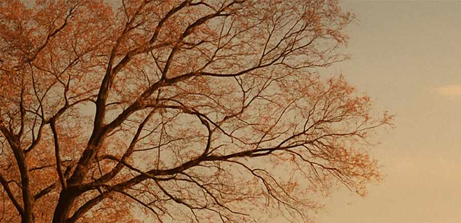 herobanner_HOMEWARD_U109