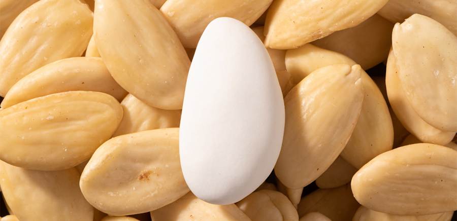 herobanner_ERNESTOBRUSA_T19