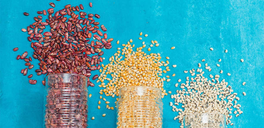 herobanner_LEBONTADELCAVALIERQUIRINO_T19