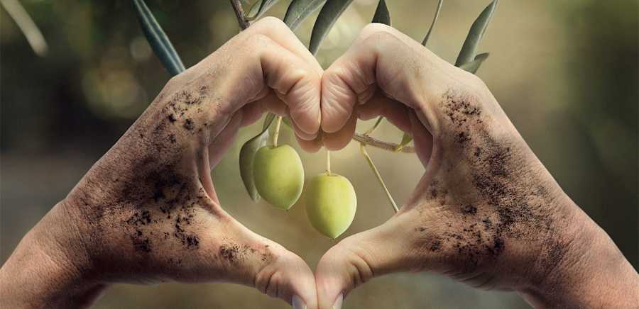 herobanner_SCOVAVENTI_T19